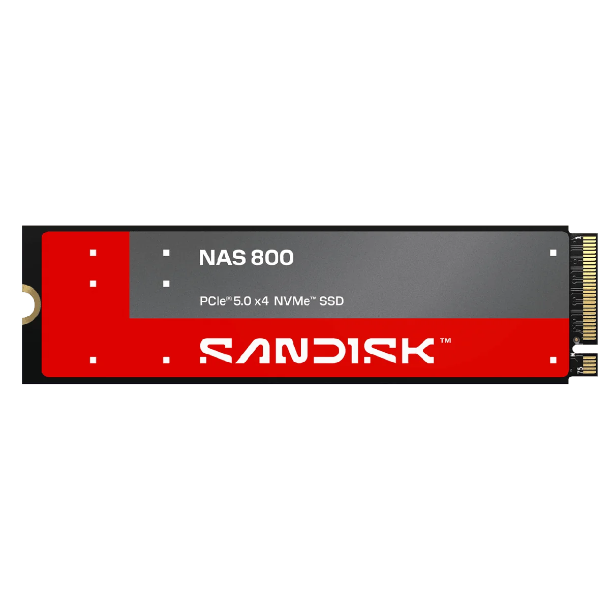 SanDisk NAS 800 NVMe SSDの外観